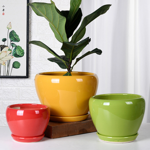 苹果型圆形花盆陶瓷带分体托盘加大加厚升级款绿萝植物花盆特价