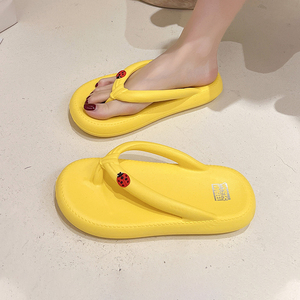 人字拖女夏外穿夹板厚底网红海边防滑夹脚2022新款夹趾凉拖鞋女士