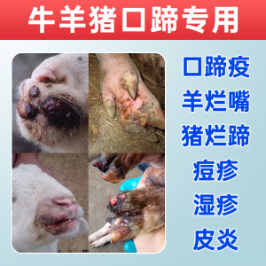 口蹄心肌康羊口疮药猪牛羊口蹄疫烂嘴烂蹄子兽用牛羊结节病药血清