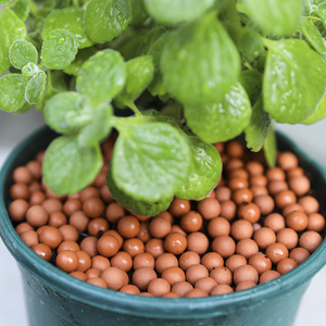 陶粒铺面花盆里的花用多肉透气通用型无土栽培鱼缸垫底绿植铺面石