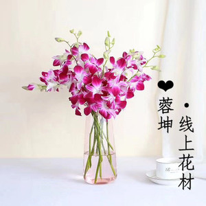 紫色洋兰