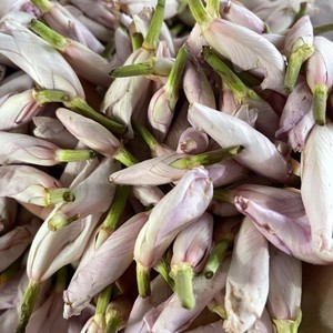 云南德宏山茅野菜(纯野生白露花)大白花,可炒可凉拌山货焯水过的