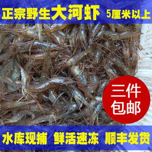 【优农美品】缺货水库野生大河虾青虾5-6cm新鲜速冻500g三件包邮