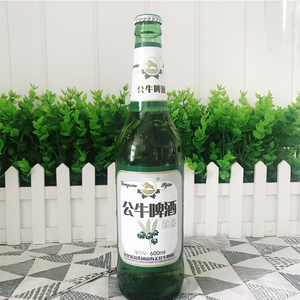 秦皇岛公牛啤酒 进口澳麦 12度金麦 600ml 12瓶 整箱促销包邮