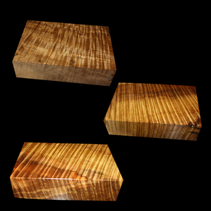 金丝楠木阴沉木原木