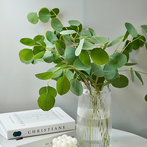 【圆叶尤加利鲜花昆明】圆叶尤加利鲜花昆明品牌,价格 - 阿里巴巴