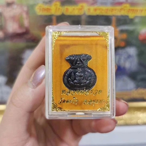 泰国佛牌项链真品 龙婆瑞钱袋子 2562年师傅自身像财富女神像吊坠