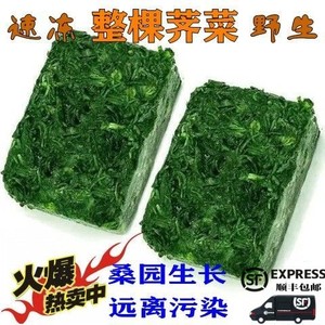 速冻荠菜新鲜野生地菜冷冻整棵荠菜野菜包子饺子馄饨汤圆春卷馅料