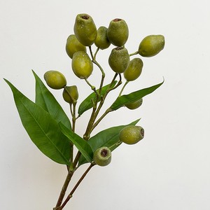 木樨榄仿真浆果果实树枝僵尸果尤加利果豌豆射手烟斗果样板间配饰