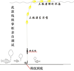 传统钓七星漂线组单钩7星漂钓鱼主线组快速铅浮漂成品线组套装