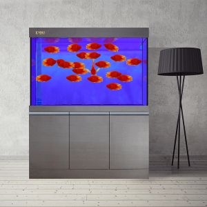 emma艾玛 er 锦鲤 龙鱼缸水族箱独立式超白玻璃鱼缸底部过滤定做