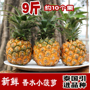 年后发货 泰国品种 甜心小菠萝 香水菠萝 台湾凤梨 应季新鲜水果