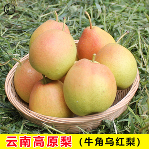 云南高原梨红梨牛角乌梨新鲜梨子水果酥脆多汁香梨鲁沙梨9斤包邮