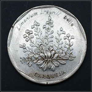 佛得角20埃斯库多硬币 1994年版外国钱币 km33