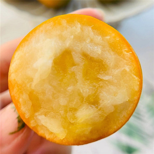 广西融安脆蜜金柑 果肉香甜不辛辣 纯甜 新鲜现摘 3.5斤礼盒金桔