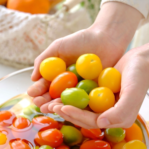 多彩小番茄 黄色小番茄 阳光圣女果小西红柿水果爆汁脆甜有味