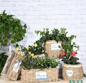 草编编织种花绿植鲜花盆筐编织套加厚花盆花篮竹筐干花插花套装筐