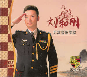 启舞乐淘淘宝民歌刘和刚蒋大为阎维文郁钧剑dvd经典老歌曲正版汽车