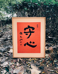 赵大山书法作品手写真迹名家字画装饰画毛笔字守心