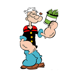 大力水手/加菲猫 经典动画怀旧海报酒吧咖啡厅室内儿童房装饰海报