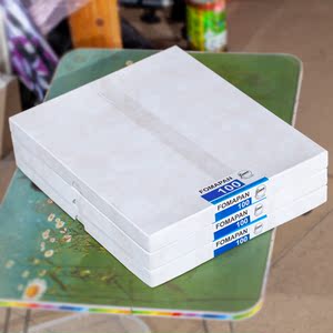 未拆封盒装 捷克福马Fomapan100 大画幅胶片810 8*10 8x10黑白页