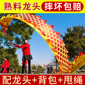 新款广场舞舞龙彩带健身中老年人手甩耍龙头钢架道具8米儿童中国