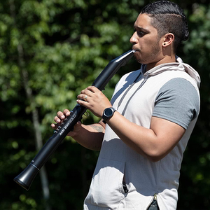 akai雅佳ewisolo电吹管海外直邮代购初学者老年乐器专业电萨克斯