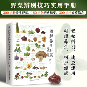 采摘指南分布形态特征食用方法药用功效大全田间野菜营养搭配百科图鉴