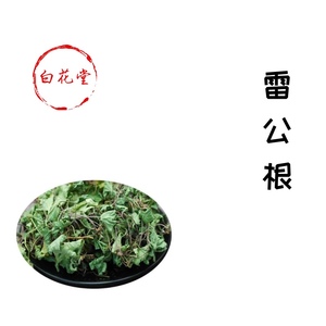 白花堂61广西野生雷公根干货中药材500克积雪草蹦大碗煲汤泡茶
