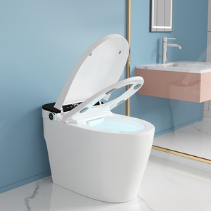 智能马桶即热型