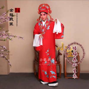 戏曲服装男大靠