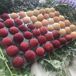 余姚水晶白杨梅新鲜水果纯天然当季儿童孕妇水果现摘现发顺丰空运