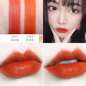 平价哑光品牌朱砂橘色系口红小众南瓜唇膏显白唇釉脏橘红桔亮橙色