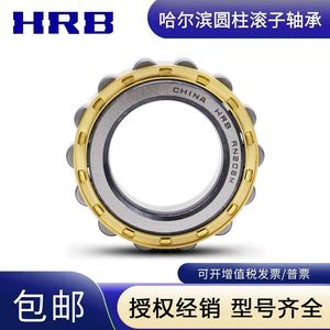 HRB哈尔滨轴承RN 304 305 306 307 308 309 310 312 313 317 M