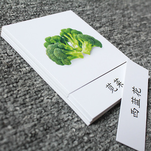 蒙氏教具语言区早教三段卡日常生活水果蔬菜动物认知卡闪卡三部卡