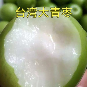 台湾牛奶特大青枣嫁接枣树苗贵妃蜜枣脆甜水分多全国种植当年结果