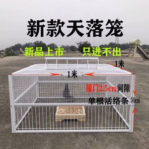 加密收鸽笼天落笼只进不出鸽子笼自动跳门撞门笼鸽子用品用具包邮