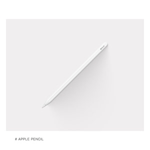 Apple/苹果 Pencil iPad手写笔 磁吸 无线充电 转换器 重压感应