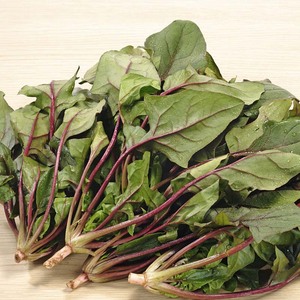 紫菠菜种籽红梗菜大田菜园阳台盆栽四季播种红色菠菜养生蔬菜种子