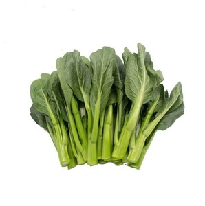 宁夏菜心