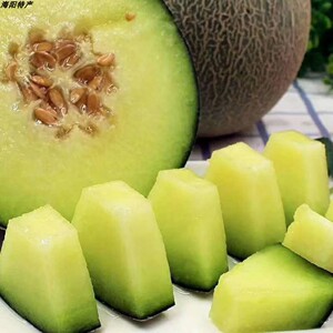 海阳一藤网纹翡翠蜜瓜软糯香超甜当季新鲜水果瓜甜瓜带箱5斤包邮
