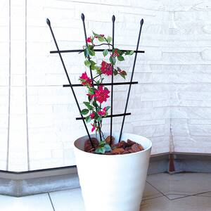 家用昙花专用支架藤蔓植物爬藤架子花卉防倒支架爬藤植物固定架