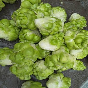 青菜头新鲜重庆