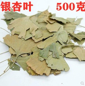 银杏叶 白果叶 干货银杏叶子 中药材 500克 包邮