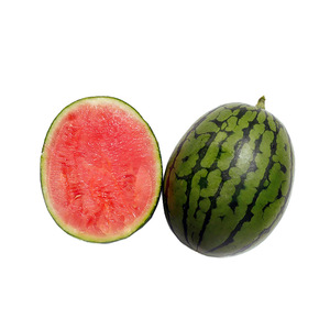 早春红玉西瓜新鲜