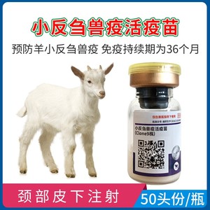 天康小反刍兽疫活疫苗预防羊瘟小反刍1瓶50头份羊瘟疫苗预防针