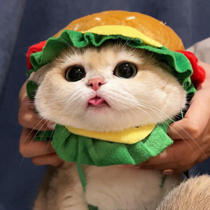 宠物猫咪汉堡头套可爱头饰变装拍照道具狗狗帽子小型犬装扮服饰品