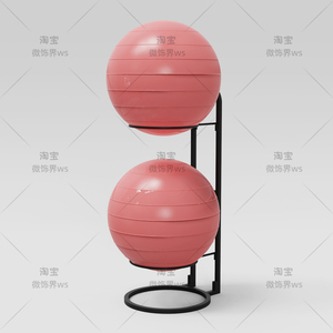 瑜伽球架子瑜伽馆置物架波速球收纳器材瑜伽大球架健身器材放置架