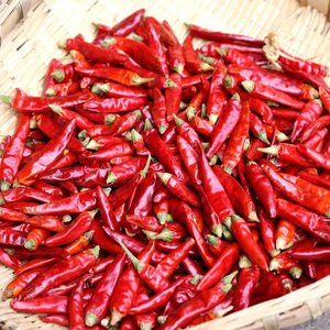 您还可以找贵州小米辣,蒜油小米辣,四川小米辣,云南小米辣,宏斌小米辣