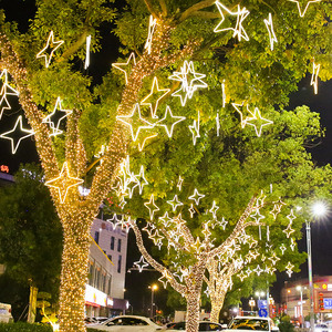小彩灯闪灯串灯满天星灯户外防水树木亮化雪花星星灯挂件流星雨灯
